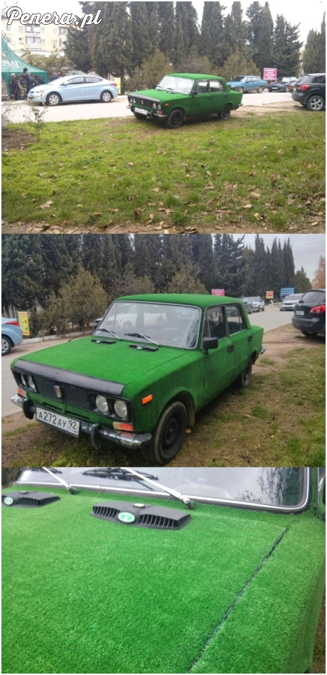 Z deka mu się zarosło