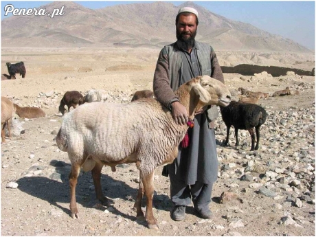 Z żoną na wakacjach