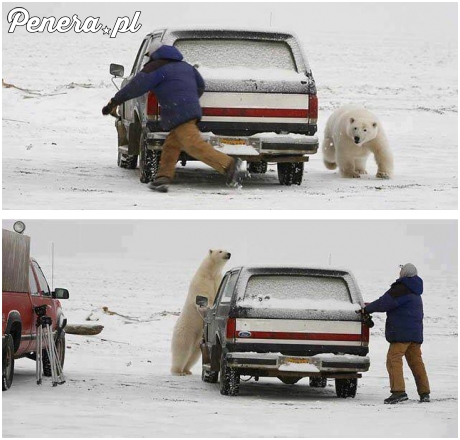 Zabawa w berka z misiem