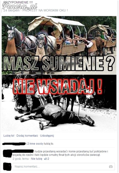 Zajebista riposta pod akcją społeczną