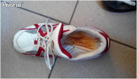 Żarcik na 1 kwietnia