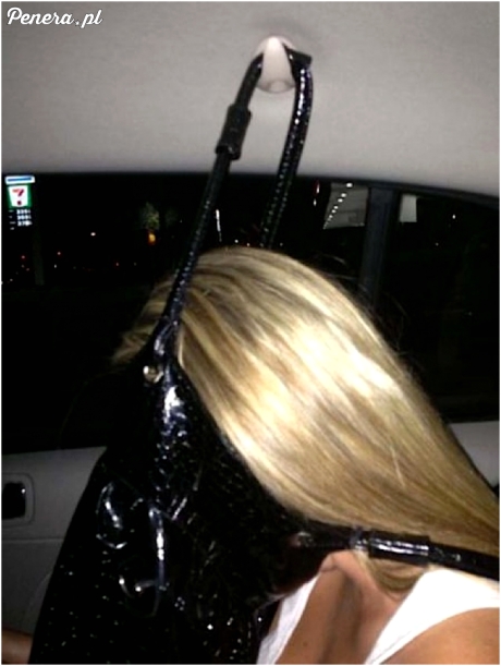 Zawiesić ryj na torebce