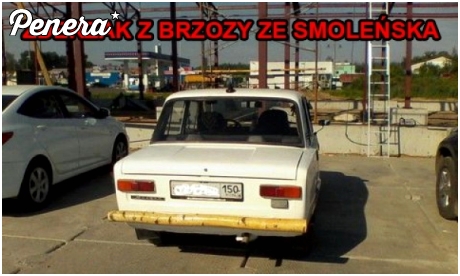 Zderzak z brzozy ze smoleńska
