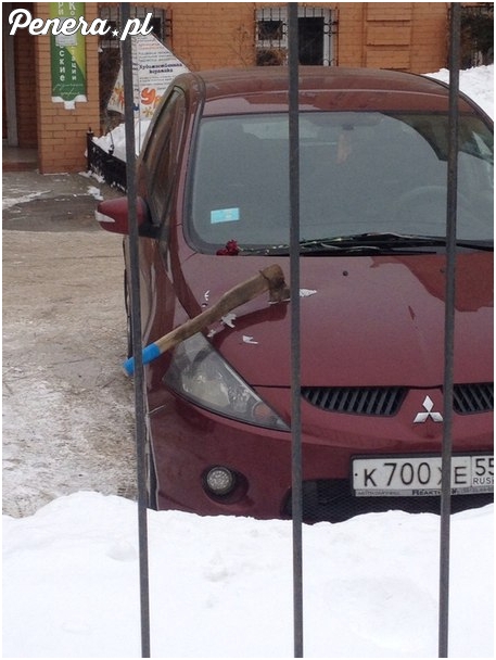 Zdradzona kontra samochód