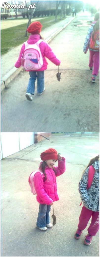 Ze zwierzakiem do domu