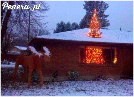 Żeby tylko była większa niż sąsiada