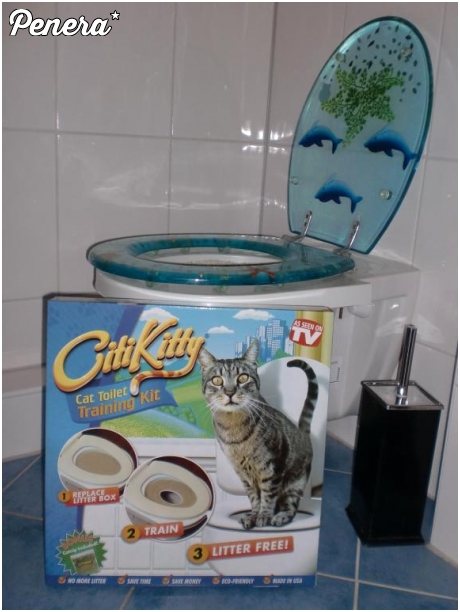 Zestaw do nauki dla kotka