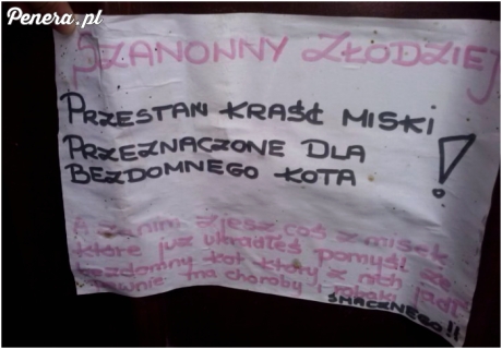 Złodziej kocich misek