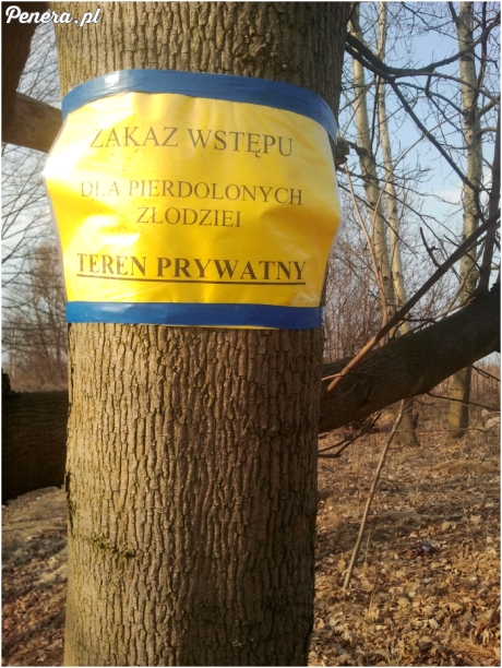 Złodzieju pilnuj się