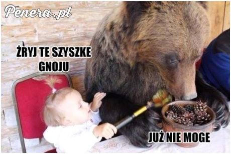 Żryj te szyszki w gnoju